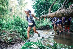 BIB: 
                            <button type="button" onclick="openModal(25465773)" class="btn btn-primary btn-sm float-right btn-popup" data-toggle="modal" data-target=".modal-high-quality">
                        <i class="fas fa-shopping-cart"></i> Add to Cart
                    </button>
                                            <button type="button" onclick="isThisMe(25465773, true)" class="btn btn-success btn-sm float-right btn-popup btn-isme hidden" data-toggle="tooltip" data-placement="bottom" title="นี่คือรูปของคุณใช่ไหม คลิกที่นี่เพื่อเอาเข้าอัลบั้ม">
                        <i class="fas fa-plus"></i> Add to album
                    </button>
                    <button type="button" onclick="isThisMe(25465773, false)" class="btn btn-warning btn-sm float-right btn-popup btn-isnotme hidden">
                        <i class="fas fa-ban"></i> Remove from album
                    </button>